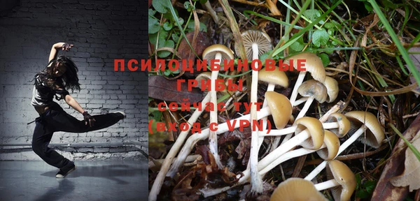 метадон Аркадак