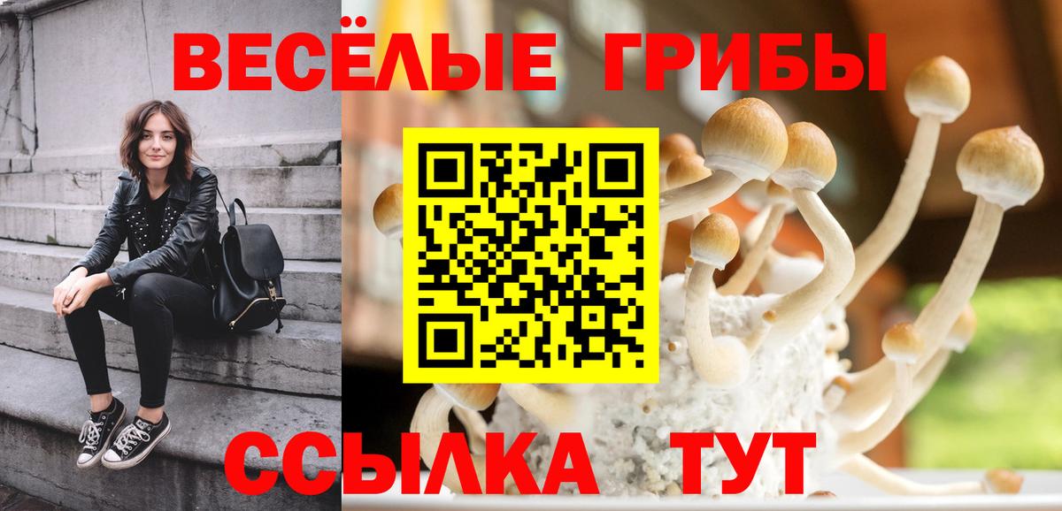 Галлюциногенные грибы ЛСД  Вход с VPN  Добрянка 